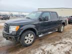 2010 FORD F150