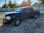 2005 DODGE DAKOTA