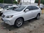 2013 LEXUS RX