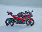 2025 KAWASAKI EX500