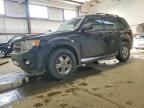 2010 FORD ESCAPE