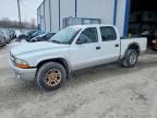 2003 DODGE DAKOTA