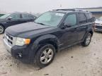 2010 FORD ESCAPE