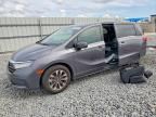 2024 HONDA ODYSSEY