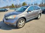 2010 HONDA CR-V