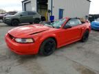 2001 FORD MUSTANG