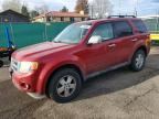 2012 FORD ESCAPE