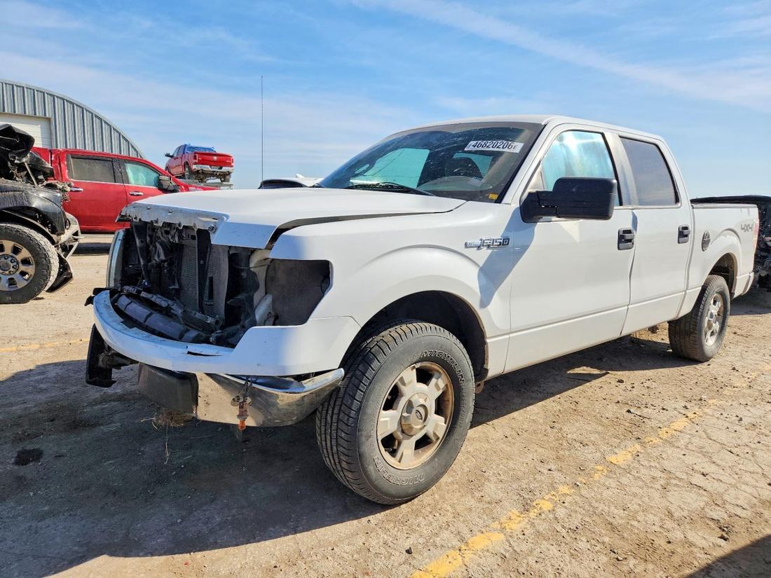 2010 FORD F150