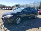 2016 TOYOTA CAMRY HYBRID