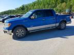 2013 FORD F150