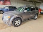 2010 FORD ESCAPE
