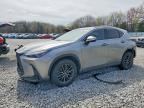 2024 LEXUS NX 350