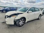 2009 NISSAN ALTIMA