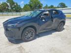 2025 LEXUS NX