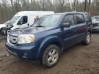 2009 HONDA PILOT