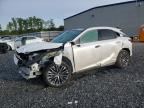 2026 LEXUS RX 350