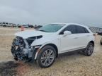 2025 CADILLAC XT5