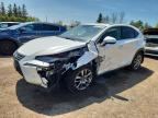 2021 LEXUS NX 300H