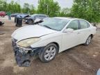 2006 LEXUS ES