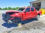 2005 DODGE DAKOTA