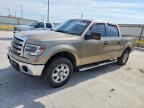 2014 FORD F150