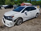2010 LEXUS HS