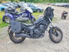 2024 HONDA CMX500