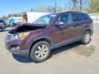 2011 KIA SORENTO