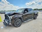 2023 TOYOTA TUNDRA