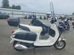2014 TAOTAO MOPED