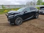 2023 LEXUS RX 350H