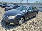 2011 LEXUS ES