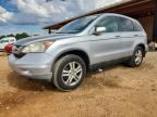 2010 HONDA CR-V