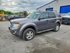 2010 FORD ESCAPE