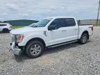 2023 FORD F150