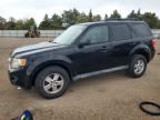 2010 FORD ESCAPE
