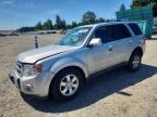 2011 FORD ESCAPE