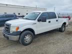 2014 FORD F150