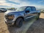 2025 FORD F150