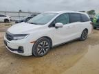 2025 HONDA ODYSSEY