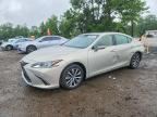2019 LEXUS ES