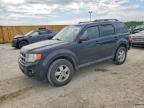 2011 FORD ESCAPE