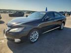 2010 LEXUS ES