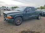 1999 DODGE DAKOTA