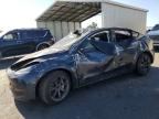2024 TESLA MODEL  Y