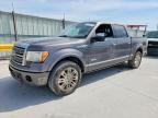 2011 FORD F150