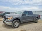 2022 FORD F150