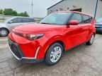 2025 KIA SOUL