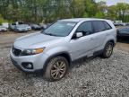 2011 KIA SORENTO