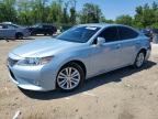 2013 LEXUS ES